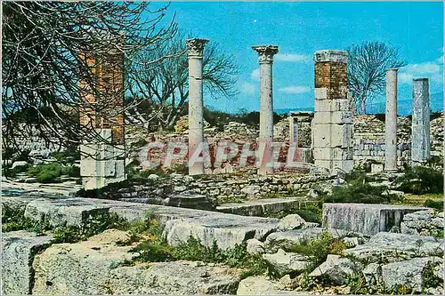 Moderne Karte Turkey Ephesus Basilique Ste Marie et du Concile