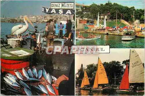 Moderne Karte Istanbul Turkey Fish Vandors and Sails Pelican Bateaux