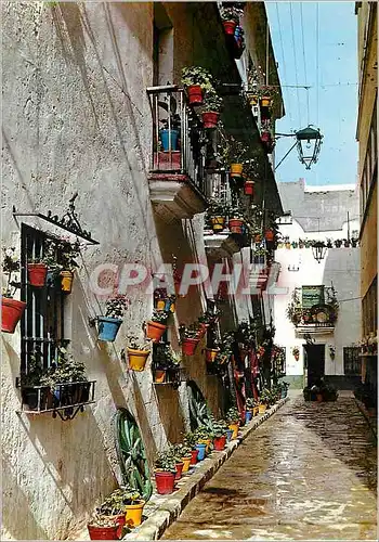 Cartes postales moderne Cadiz Callejon de los duros antiguos