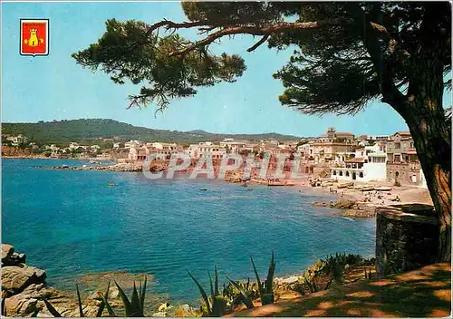 Cartes postales moderne Calella (Barcelona) Calella de palafrugell Vue partielle