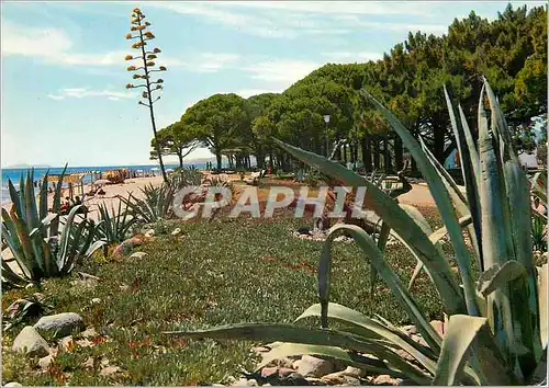 Cartes postales moderne Cambrils Tarragona Plage de Vilafortuny