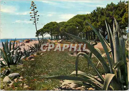 Cartes postales moderne Cambrils Tarragona Plage de Vilafortuny