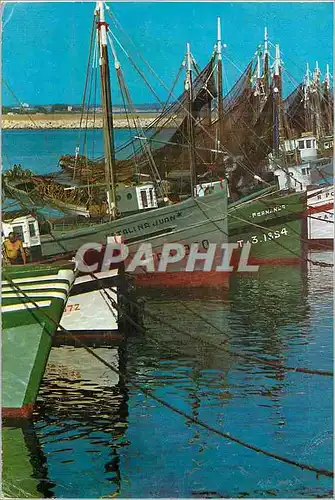 Cartes postales moderne Cambrils Tarragona Port de peche Bateaux