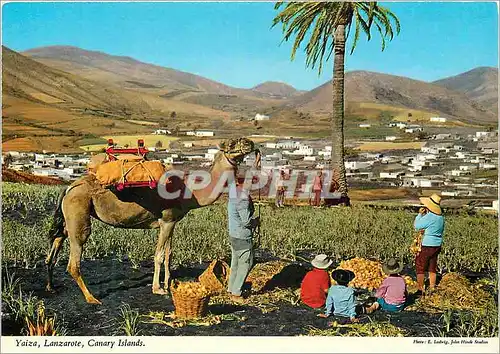 Cartes postales moderne Canary islands yaiza lanzarote