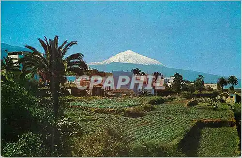 Moderne Karte Tenerife le teide vue de la victoria