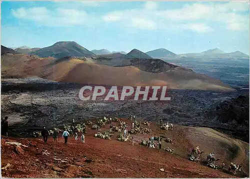 Cartes postales moderne Lanzarote montagne du feu caravane de chameaux