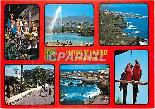 Cartes postales moderne Puerto de la cruz (tenerife) divers aspects