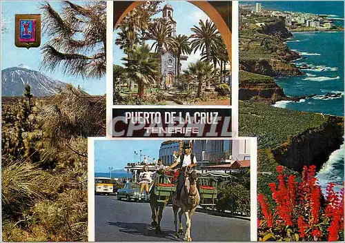 Cartes postales moderne Tenerife puerto de la cruz divers aspects de l'ile de tenerife