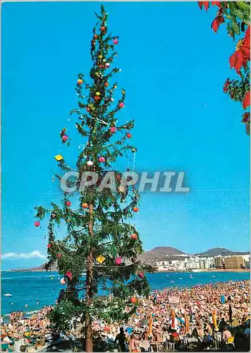 Cartes postales moderne Islas de gran canaria arbol navideno en la playa de las canteras