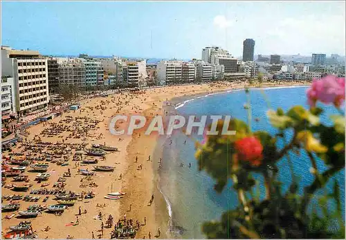 Moderne Karte Gran canaria vue partielle plage des canteras