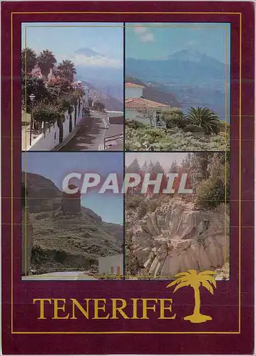 Cartes postales moderne Tenerife el sauzal rosa de piedra costa norta