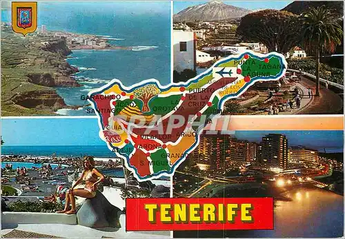 Cartes postales moderne Tenerife divers aspects