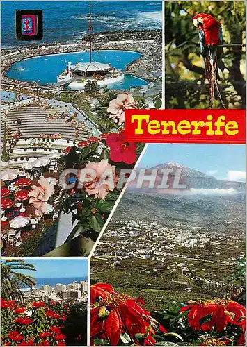 Cartes postales moderne Tenerife divers aspects