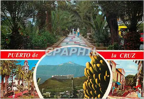 Cartes postales moderne Puerto de la cruz (Tenerife)