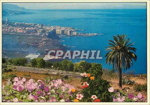 Cartes postales moderne Islas canarias puerto de la cruz Tenerife