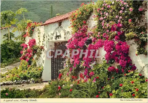 Cartes postales moderne Canary islands a typical scene