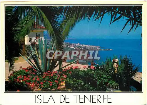 Cartes postales moderne Islas canaria puerto de la cruz exacr gardens and the blue hues of the ocean are srung together