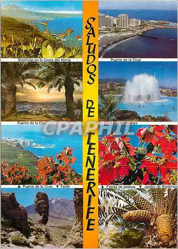 Cartes postales moderne Tenerife saludos