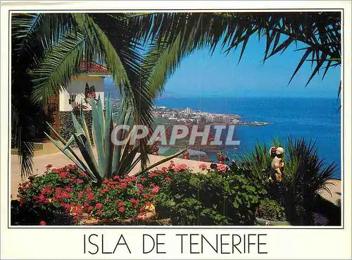 Cartes postales moderne Islas puerto de la cruz exact gardens