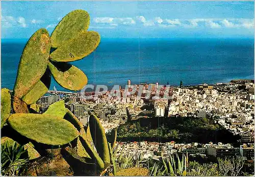 Cartes postales moderne Santa cruz de tenerife panorama