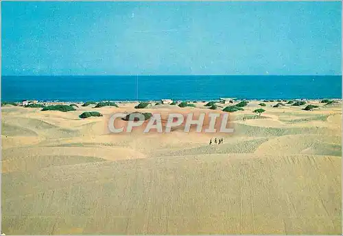 Cartes postales moderne Gran canaria dunas de playa del ingles