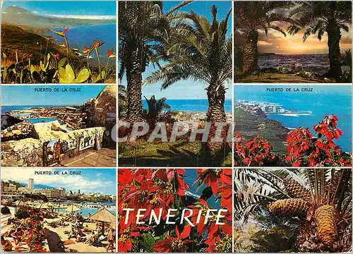 Cartes postales moderne Tenerife