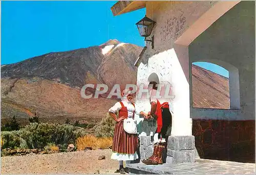 Cartes postales moderne Tenerife scene typique