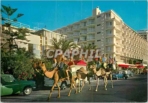 Cartes postales moderne Tenerife Puerto de la Cruz