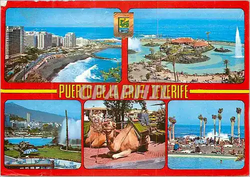 Cartes postales moderne Tenerife Puerto de la Cruz