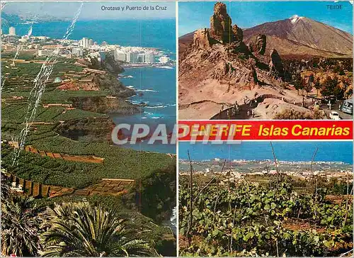 Cartes postales moderne Tenerife Islas Canarias