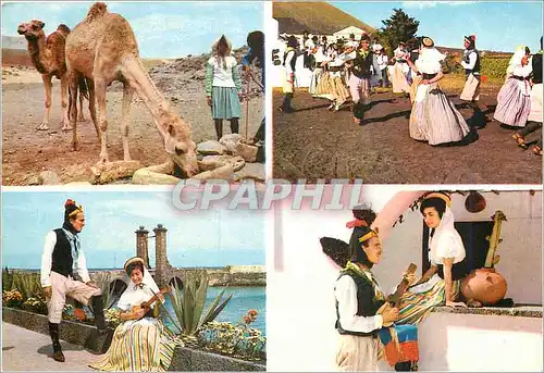 Cartes postales moderne Lanzarote (Canarias) Abrevando