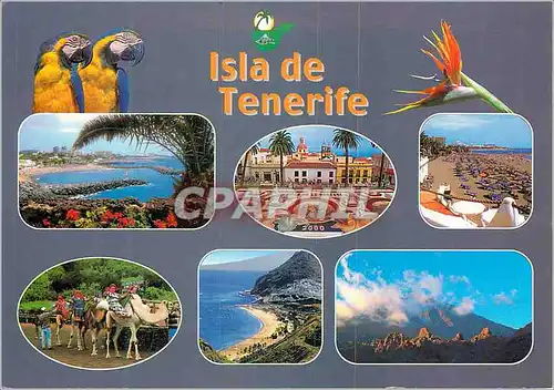 Cartes postales moderne Tenerife Isla de Tenerife Perroquet