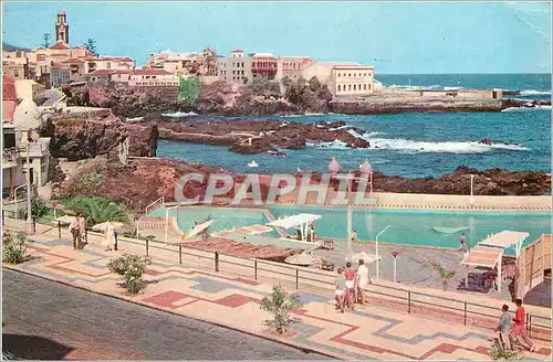 Cartes postales moderne Tenerife Puerto de la Cruz