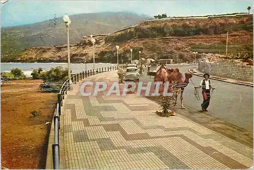 Moderne Karte Tenerife Santa Cruz de Tenerife Promenade de Colomb