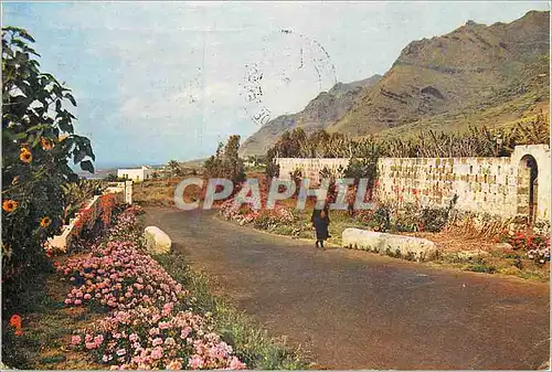 Cartes postales moderne Islas Canarias