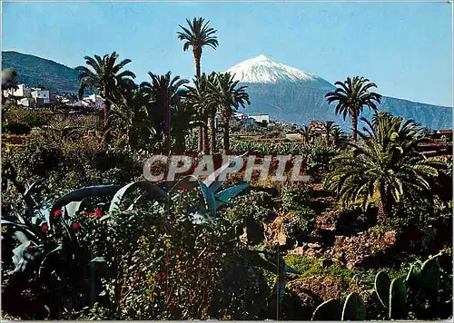 Cartes postales moderne Tenerife Panoramique Vue et Teide au Fond