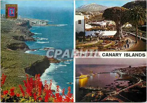 Cartes postales moderne Tenerife Canary Islands