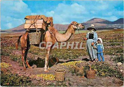 Moderne Karte Islas Canarias Motif Tipique