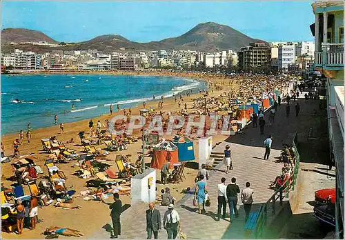 Cartes postales moderne Las Palmas de Gran Canaria Plage de las Canteros