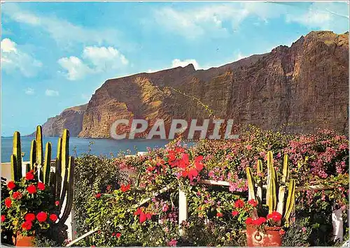 Cartes postales moderne Tenerife Puerto Santiago