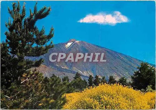 Cartes postales moderne Tenerife El Teide