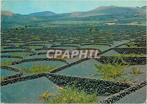 Cartes postales moderne Lanzarote