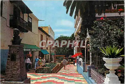 Cartes postales moderne Tenerife Puerto de la Cruz Rue Typique