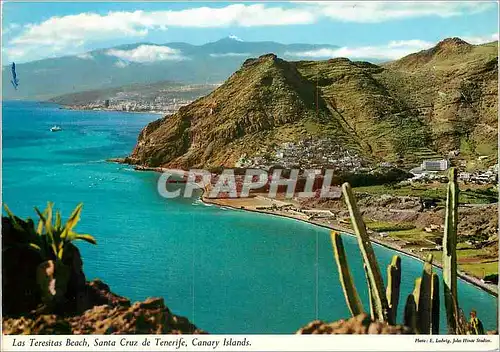 Cartes postales moderne Tenerife Las Teresitas beach