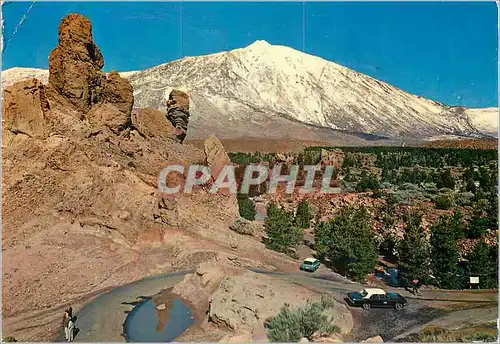 Cartes postales moderne Tenerife Islas Canarias