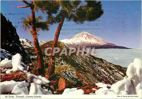 Cartes postales moderne Tenerife