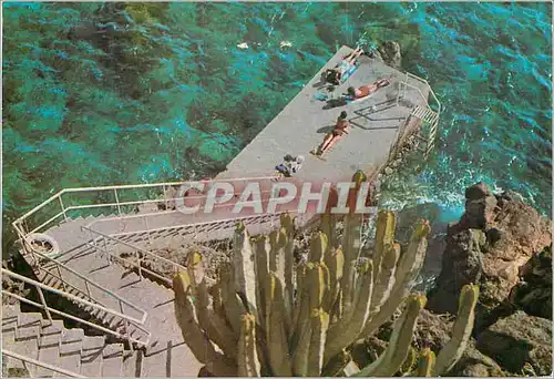 Cartes postales moderne Tenerife Islas Canarias
