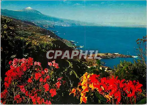 Cartes postales moderne Tenerife Cote du Nort et le Teide