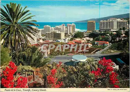 Cartes postales moderne Tenerife Puerto de la Cruz