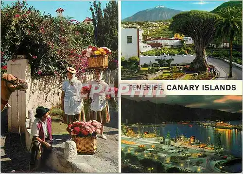 Cartes postales moderne Tenerife Canary Islands